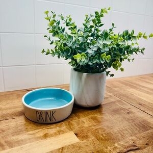 Rae Dunn XS Ceramic 'Drink' Pet Bowl in Aqua Blue